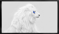 White Lion