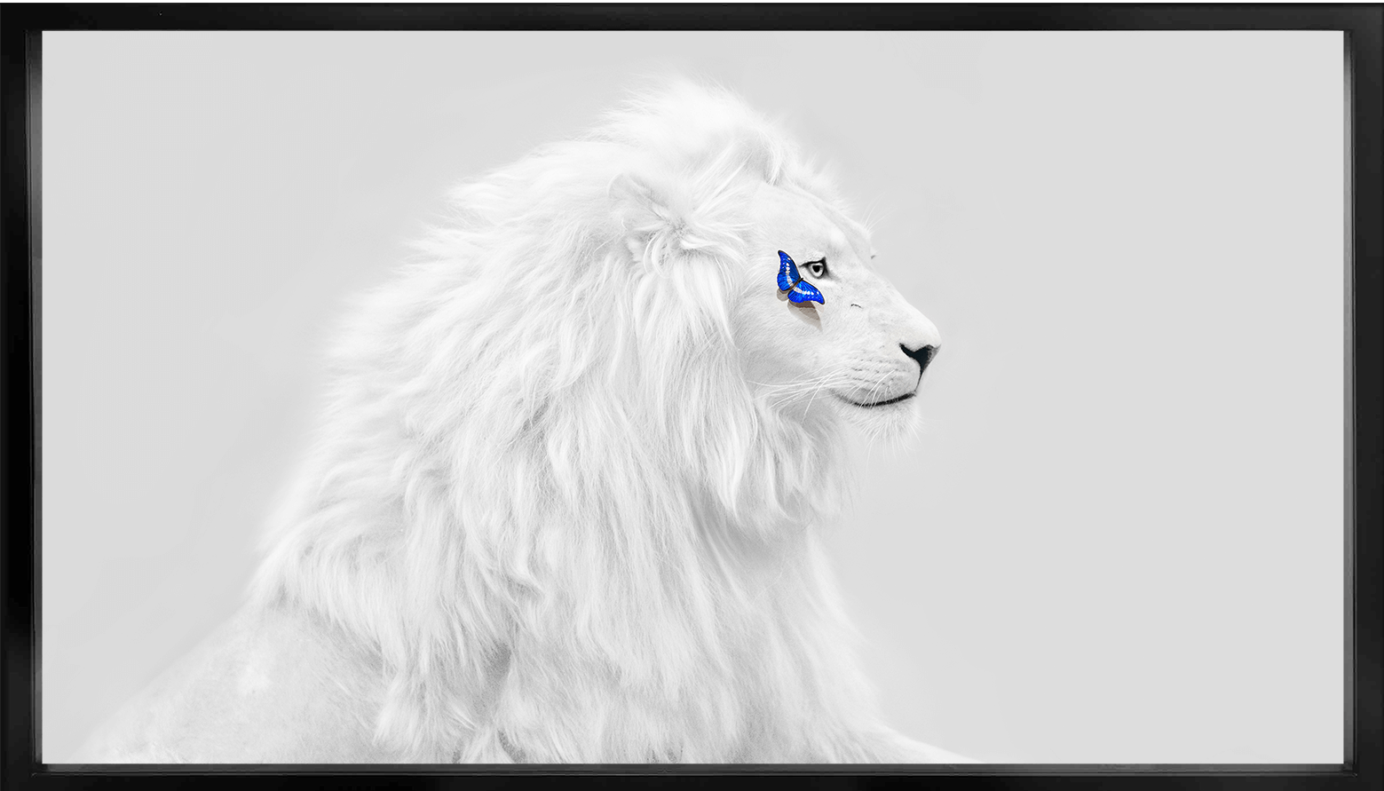 White Lion