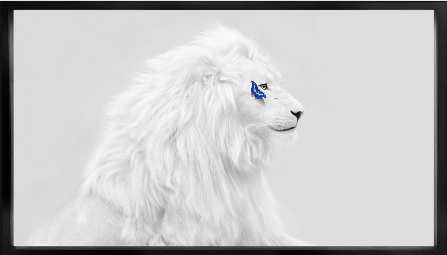 White Lion