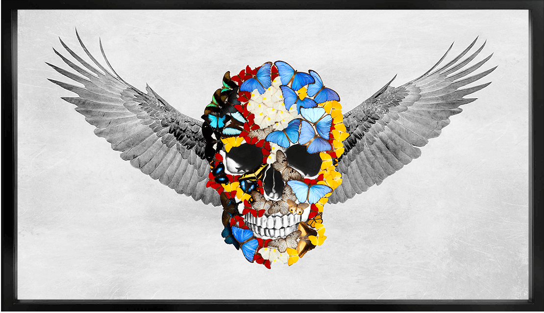 Front Skull with Wings