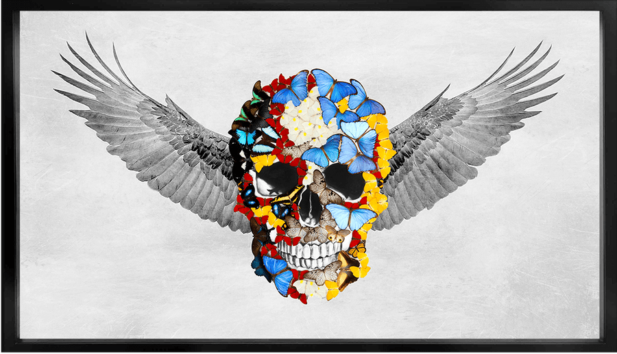 Front Skull with Wings