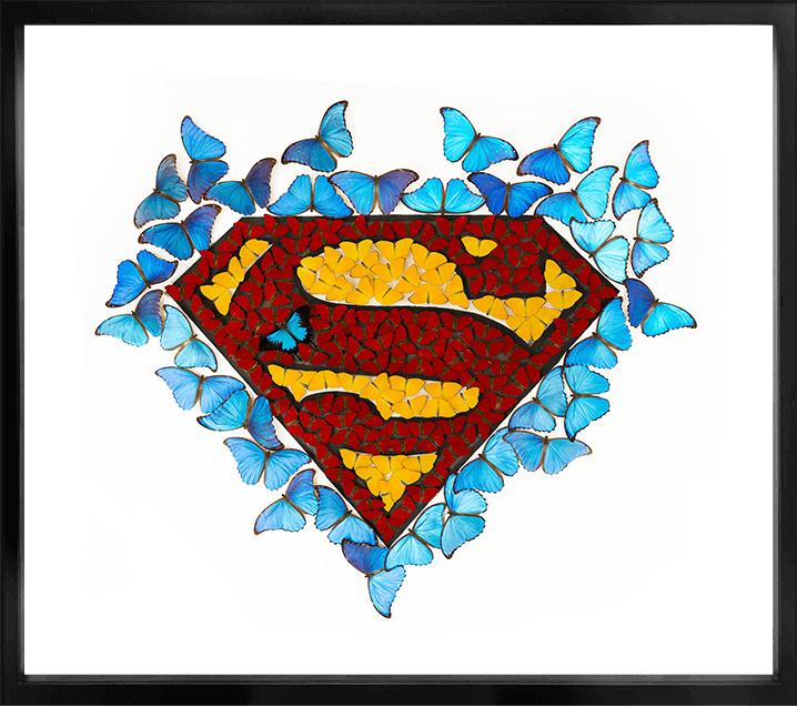 Superman Butterfly White