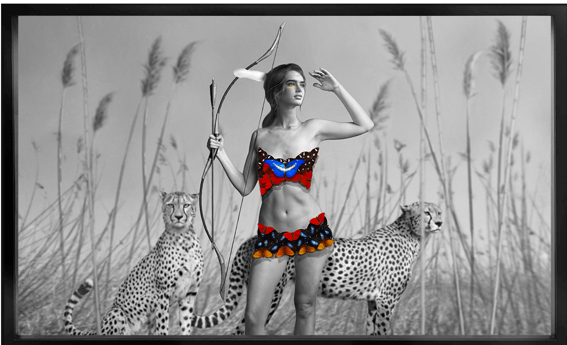 The Hunter and Two Cheetah