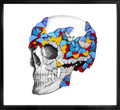 Profile Left Skull
