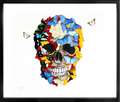 Front Skull