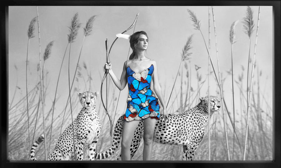 The Hunter and Two Cheetah