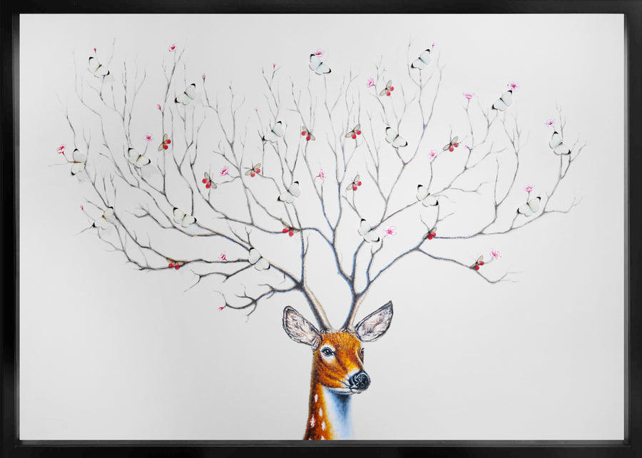 Wish Tree