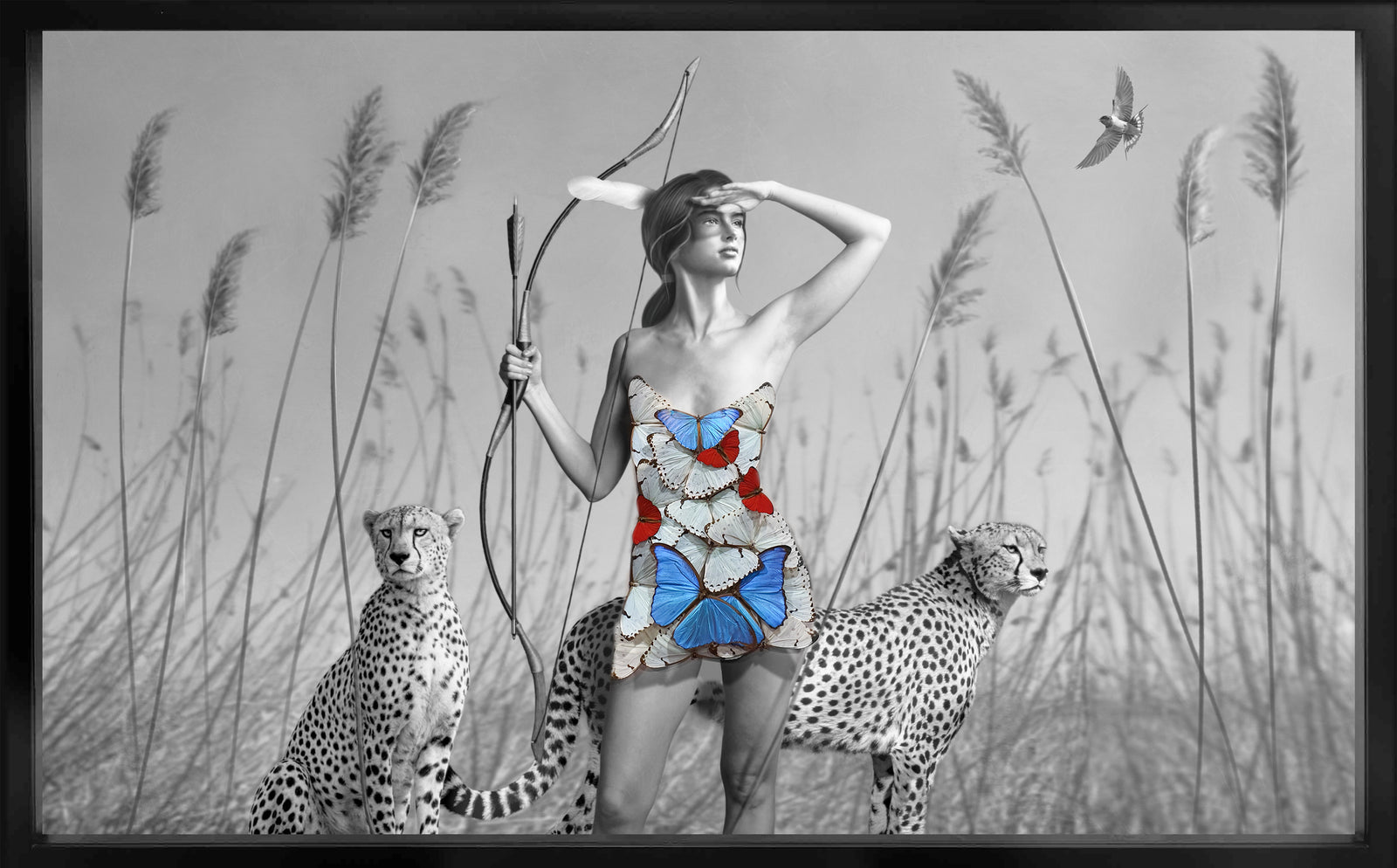 The Hunter and Two Cheetah