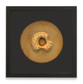 Luxury Donut 19