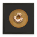 Luxury Donut 11