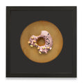 Luxury Donut 4