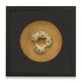 Luxury Donut 24