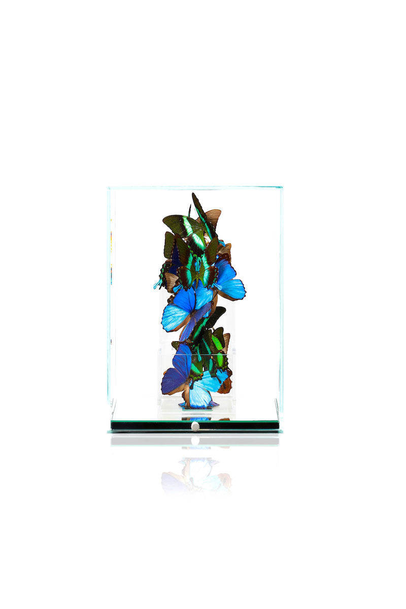 Love Lock - Blue & Green