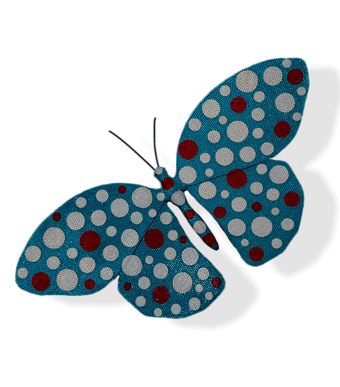 Butterfly Reflections