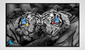 Me and You - Tigers
