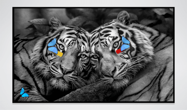 Me and You - Tigers