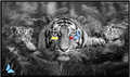 Mother Tiger and Two Cubs
