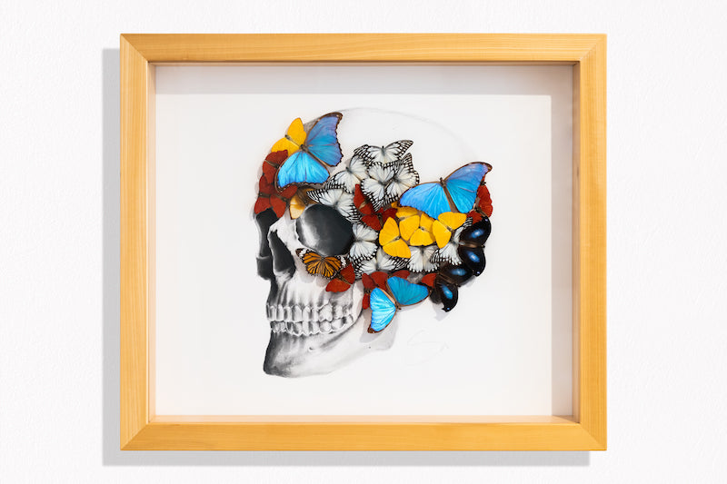 Left Skull