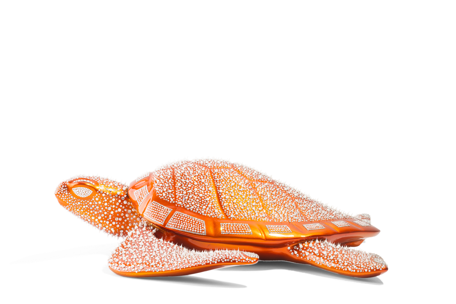 Turtle Orange