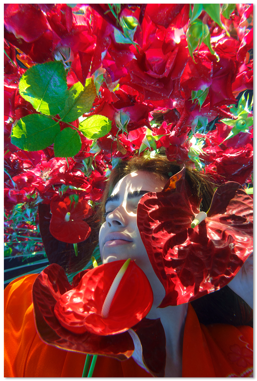 Sea of Roses