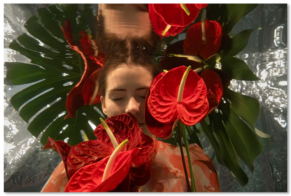 Moon Flower