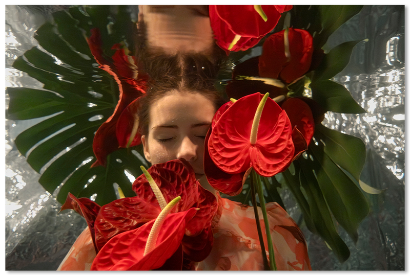 Moon Flower