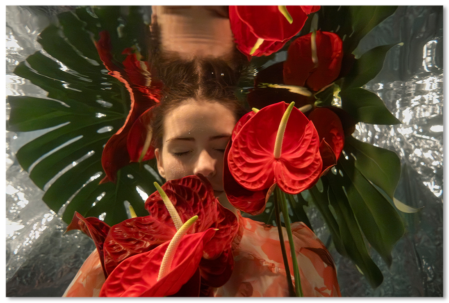 Moon Flower
