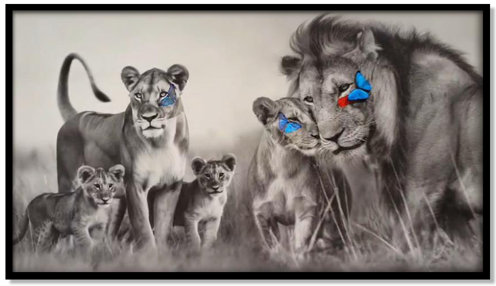 Lion Family