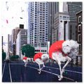 Ostriches Invasion in the City