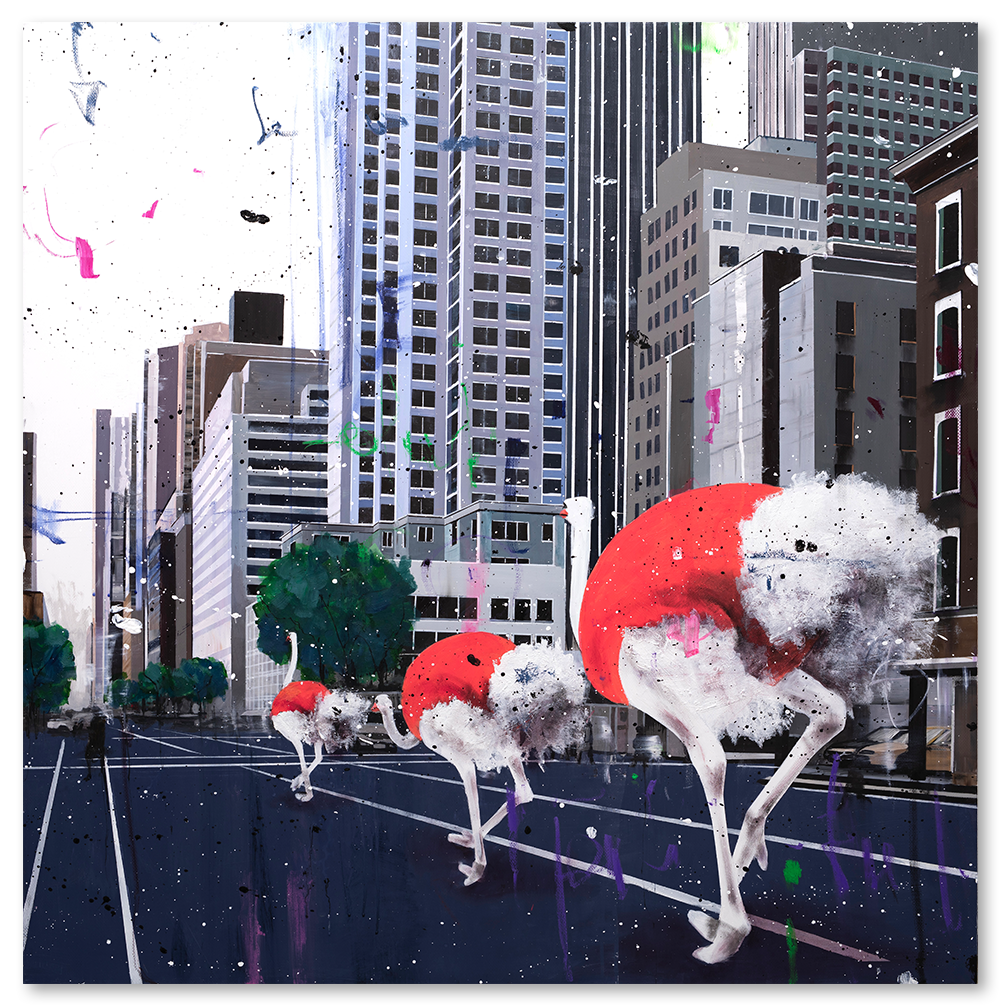 Ostriches Invasion in the City