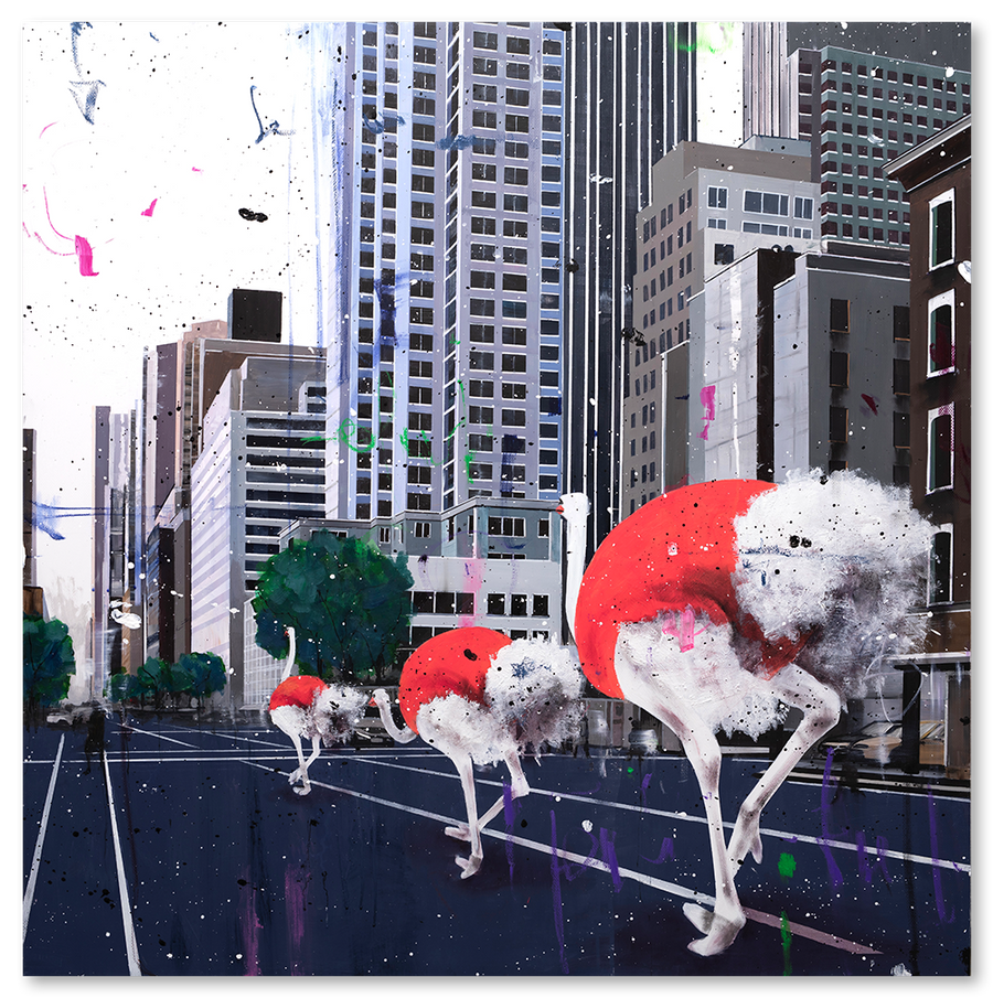Ostriches Invasion in the City