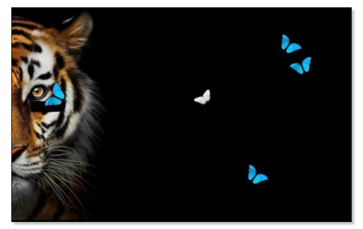 Black Tiger