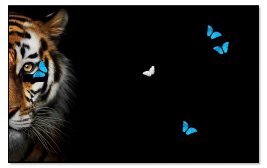 Black Tiger