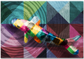 Colorful Fish