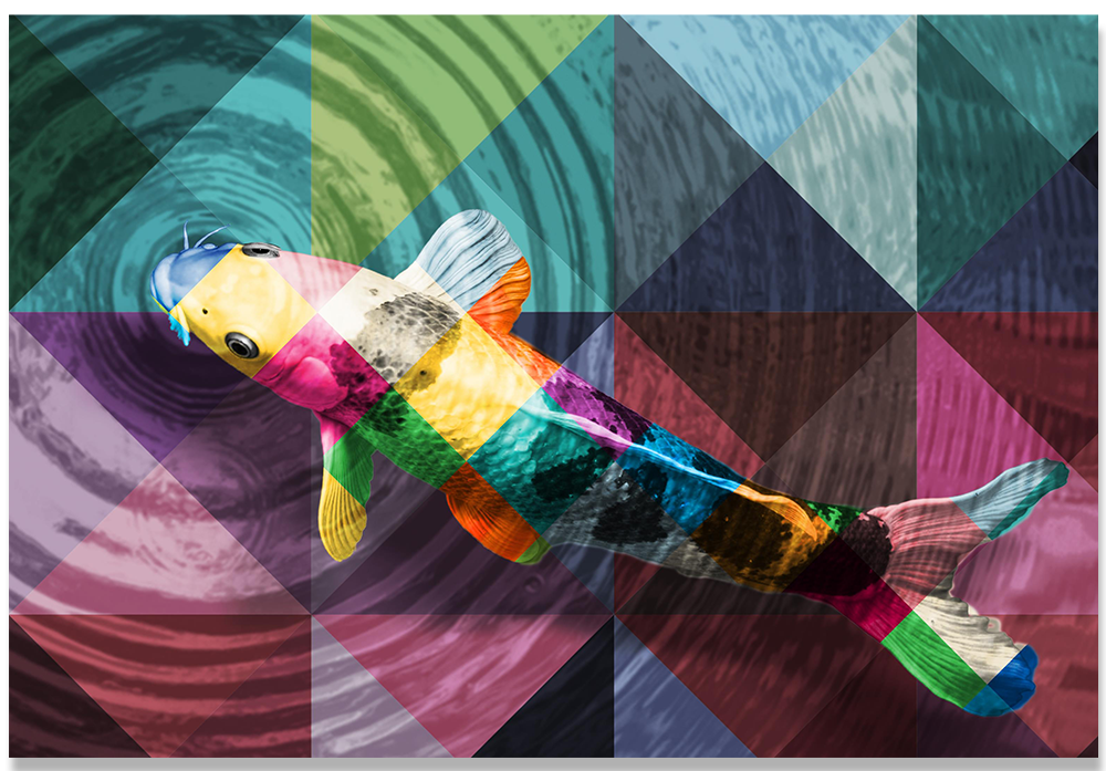 Colorful Fish
