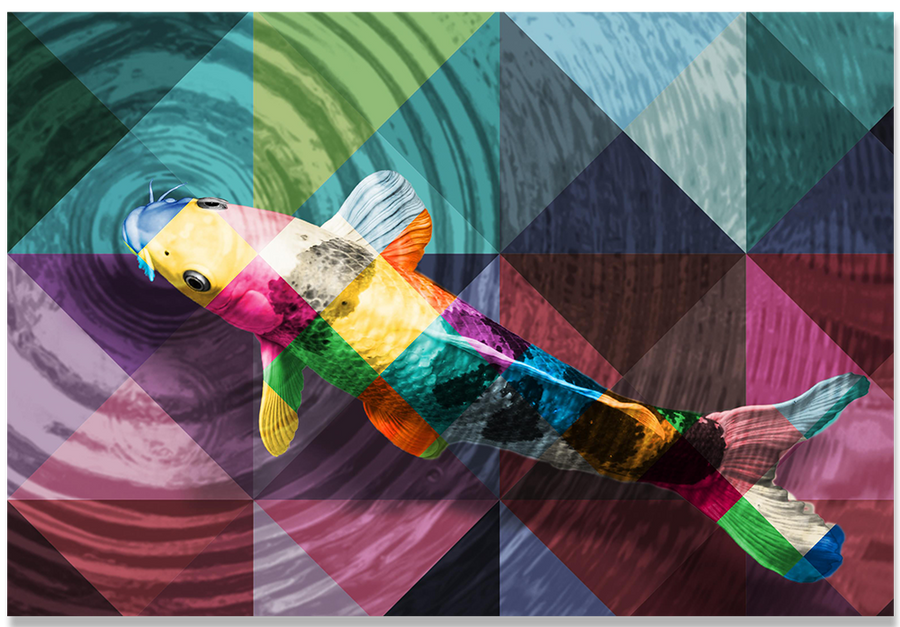 Colorful Fish