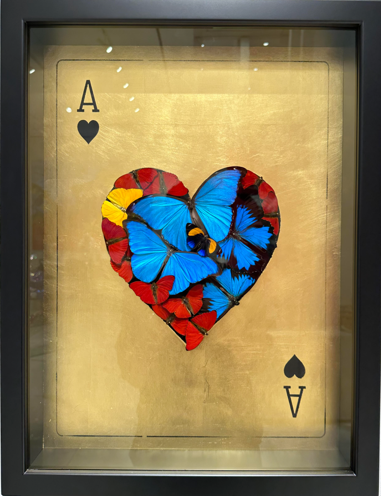 Ace of heart golden