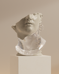 Y.H (Young Head)